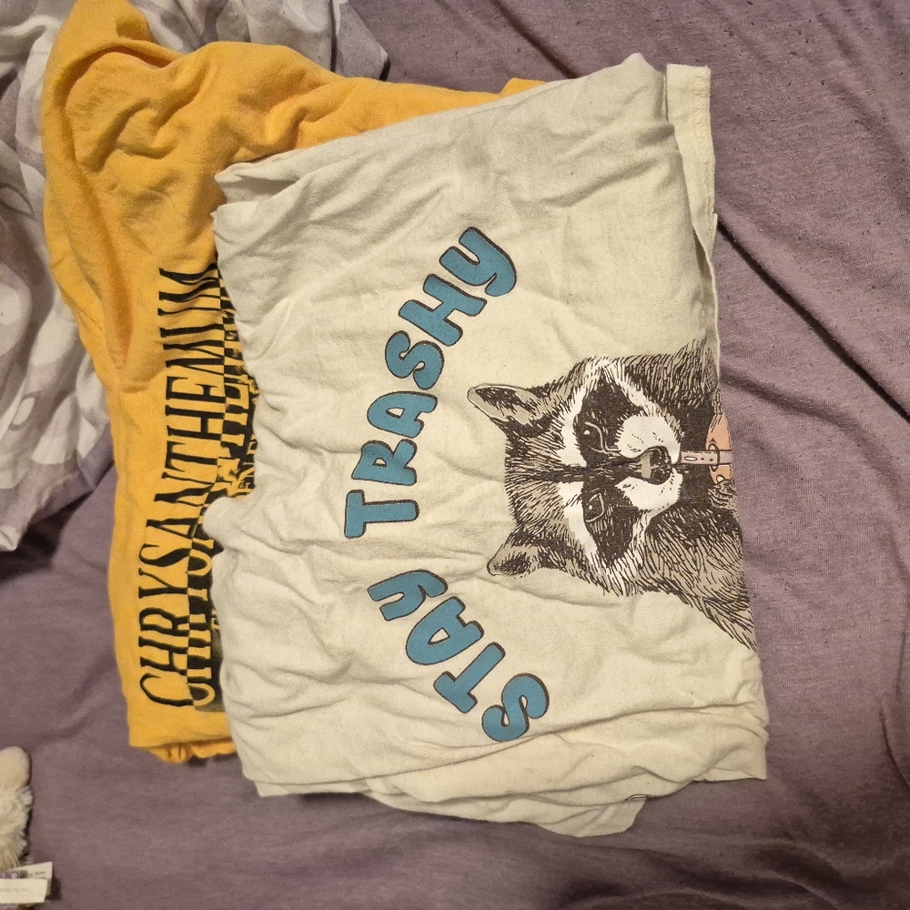 Stay Trashy Raccoon Graphic Tee